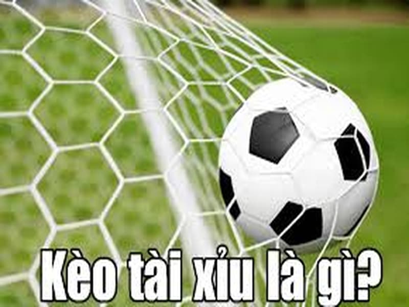 cach choi tai xiu bong da 683e964937780