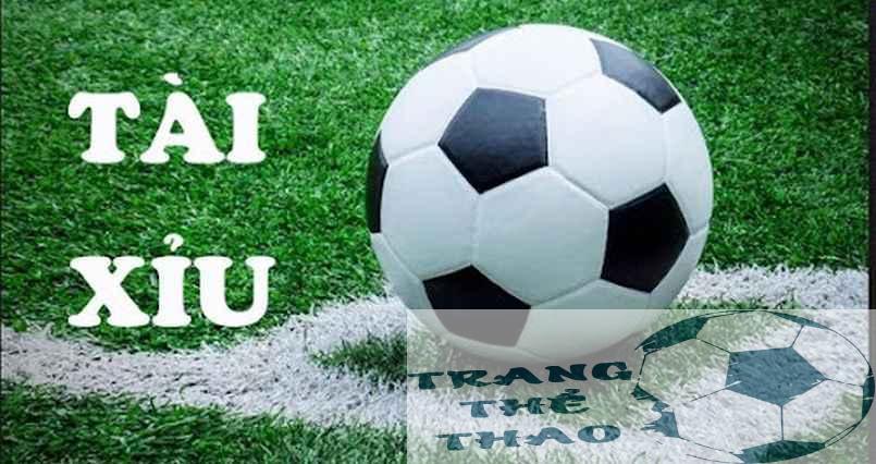 Cách chơi tài xỉu - Hướng dẫn chi tiết để trở thành người chơi thông thái