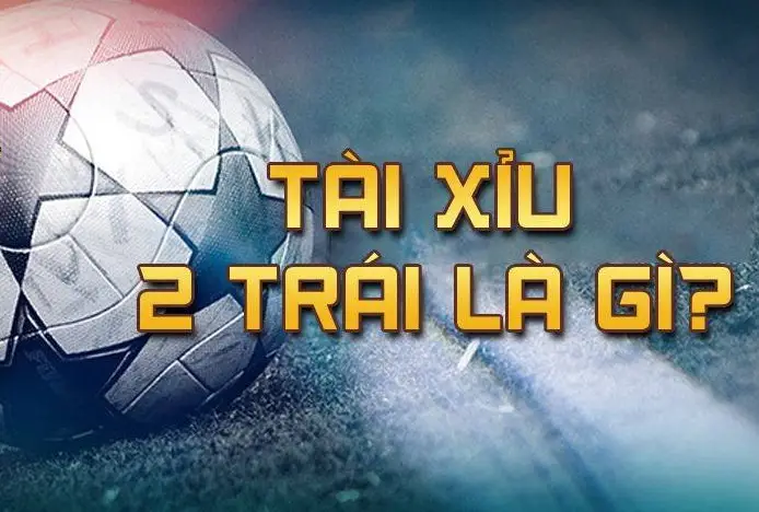 Tài xỉu 2 trái là sao - Khám Phá Ý Nghĩa và Cách Chơi