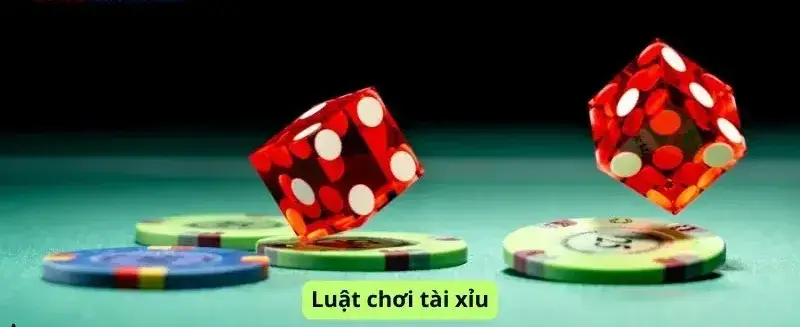 Tìm Hiểu Luật Chơi Tài Xỉu - Những Điều Cần Biết Để Thắng Lớn